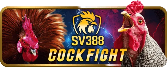 Hỗ trợ khách hàng 8bet 24/7